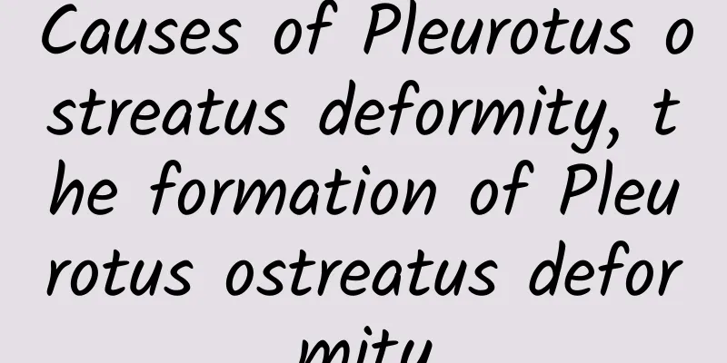 Causes of Pleurotus ostreatus deformity, the formation of Pleurotus ostreatus deformity