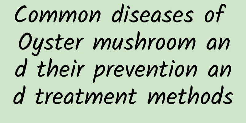 Common diseases of Oyster mushroom and their prevention and treatment methods