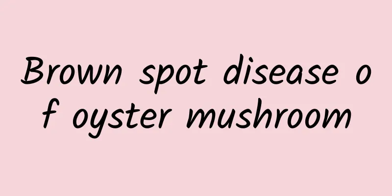 Brown spot disease of oyster mushroom