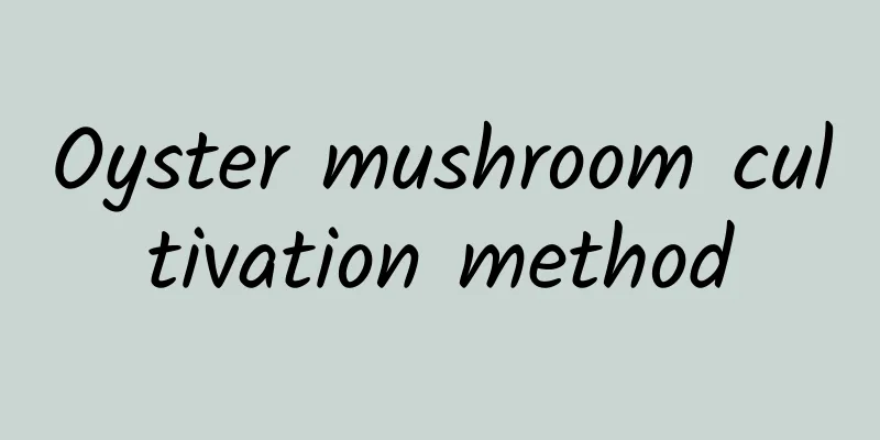 Oyster mushroom cultivation method