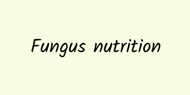 Fungus nutrition