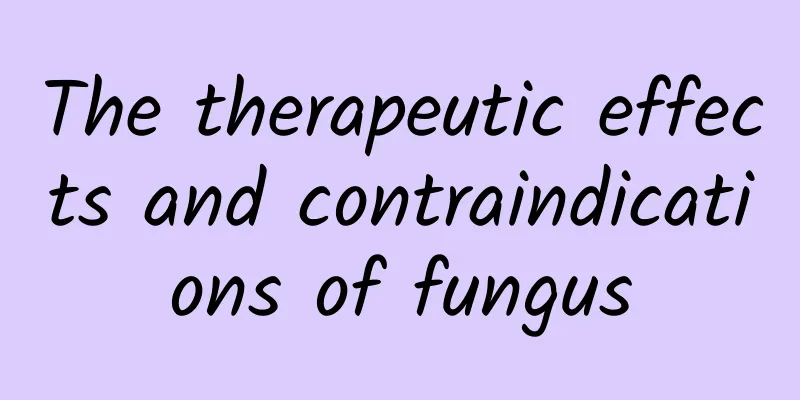 The therapeutic effects and contraindications of fungus