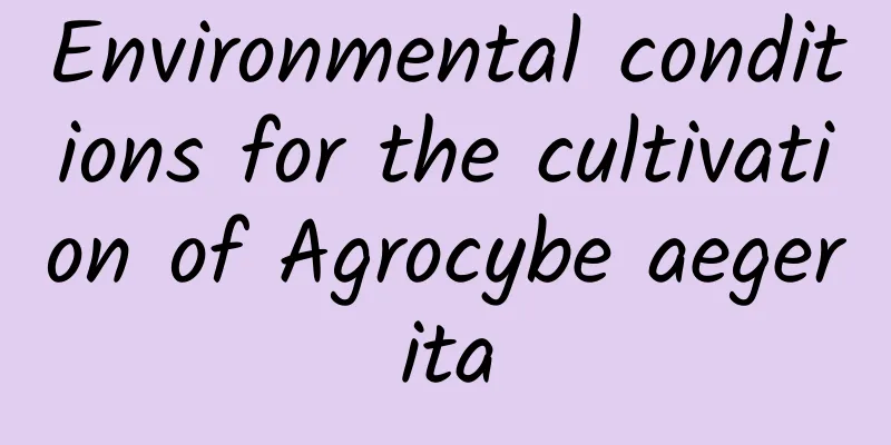 Environmental conditions for the cultivation of Agrocybe aegerita