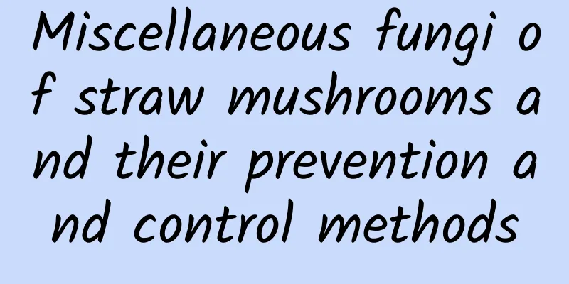 Miscellaneous fungi of straw mushrooms and their prevention and control methods