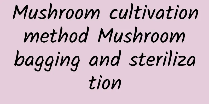 Mushroom cultivation method Mushroom bagging and sterilization