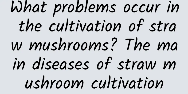 What problems occur in the cultivation of straw mushrooms? The main diseases of straw mushroom cultivation