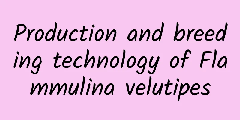 Production and breeding technology of Flammulina velutipes