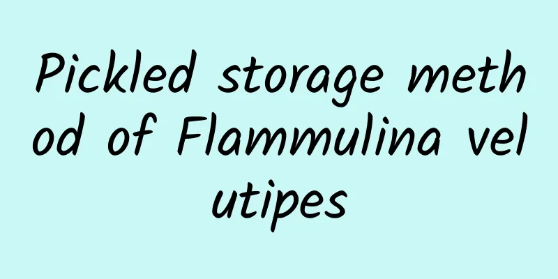 Pickled storage method of Flammulina velutipes