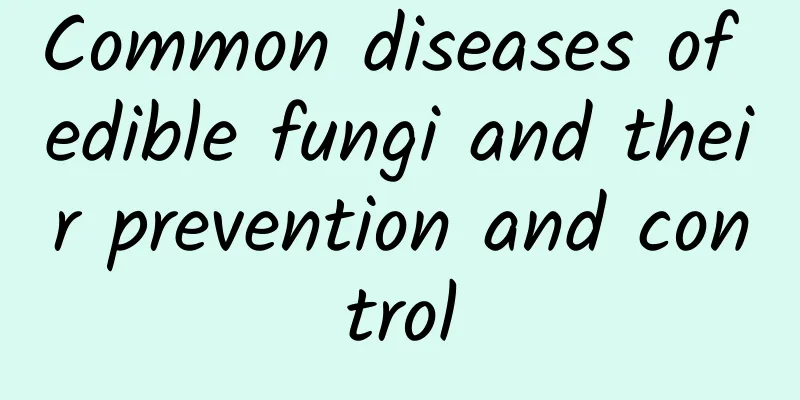 Common diseases of edible fungi and their prevention and control