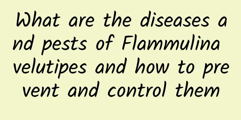 What are the diseases and pests of Flammulina velutipes and how to prevent and control them