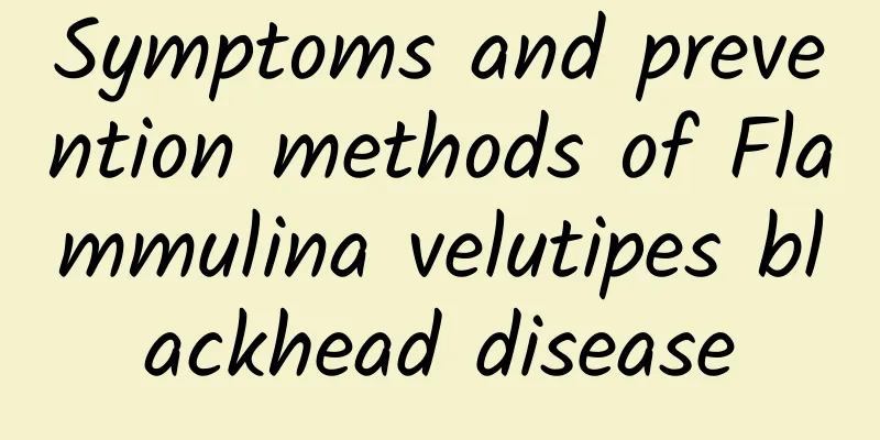 Symptoms and prevention methods of Flammulina velutipes blackhead disease