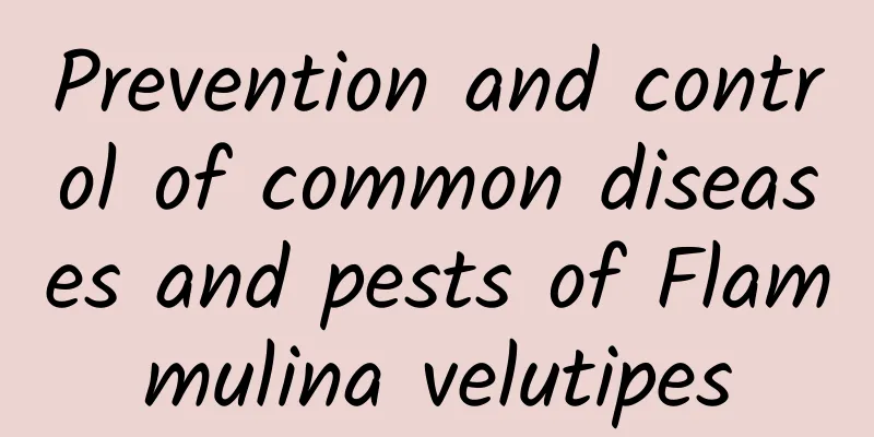 Prevention and control of common diseases and pests of Flammulina velutipes