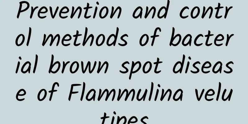 Prevention and control methods of bacterial brown spot disease of Flammulina velutipes