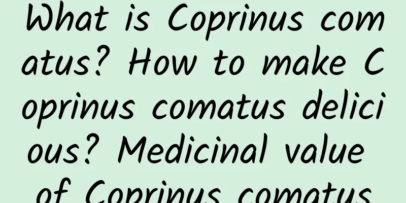 What is Coprinus comatus? How to make Coprinus comatus delicious? Medicinal value of Coprinus comatus