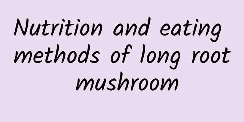 Nutrition and eating methods of long root mushroom