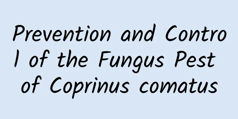 Prevention and Control of the Fungus Pest of Coprinus comatus