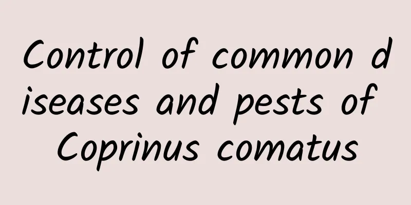 Control of common diseases and pests of Coprinus comatus