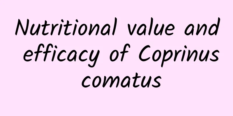 Nutritional value and efficacy of Coprinus comatus