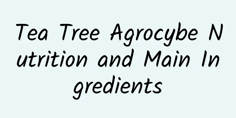 Tea Tree Agrocybe Nutrition and Main Ingredients