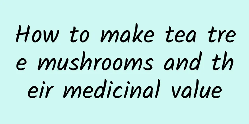 How to make tea tree mushrooms and their medicinal value