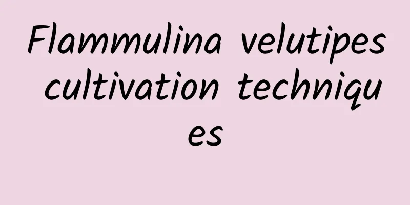 Flammulina velutipes cultivation techniques