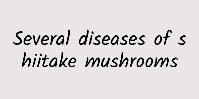 Several diseases of shiitake mushrooms