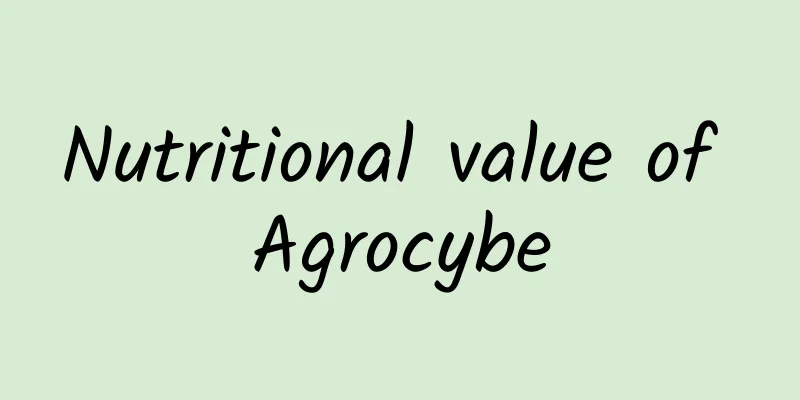 Nutritional value of Agrocybe