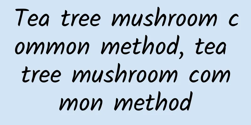 Tea tree mushroom common method, tea tree mushroom common method