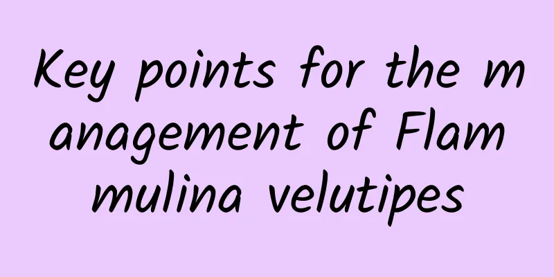 Key points for the management of Flammulina velutipes