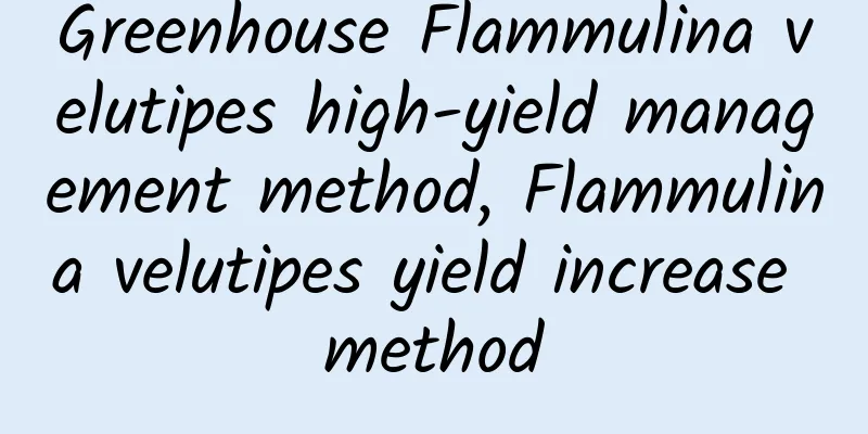 Greenhouse Flammulina velutipes high-yield management method, Flammulina velutipes yield increase method