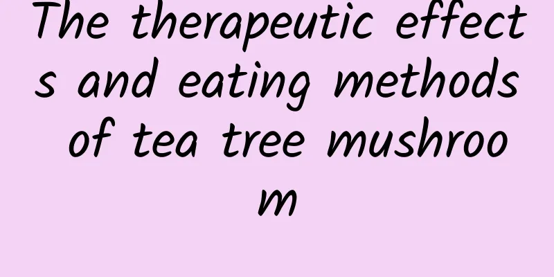 The therapeutic effects and eating methods of tea tree mushroom