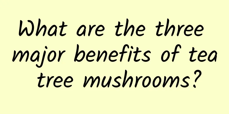 What are the three major benefits of tea tree mushrooms?