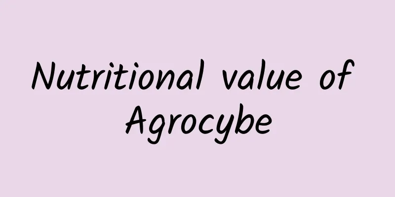 Nutritional value of Agrocybe