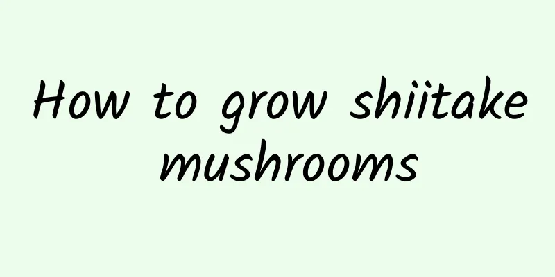 How to grow shiitake mushrooms