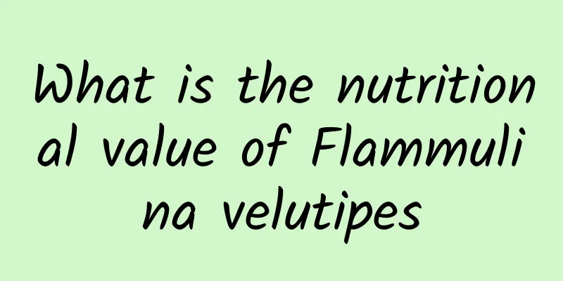 What is the nutritional value of Flammulina velutipes