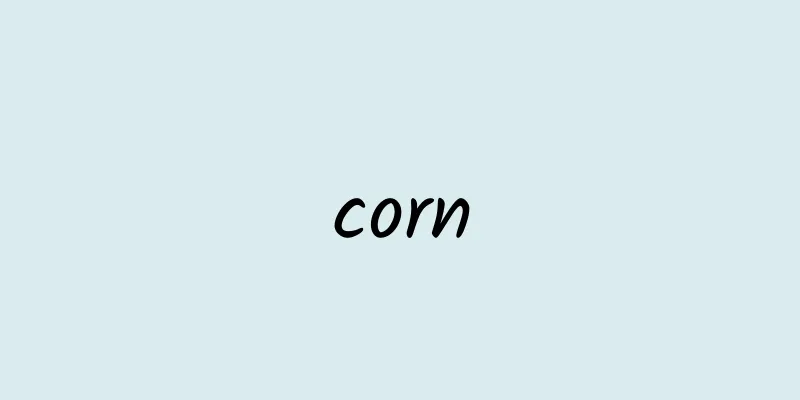 corn