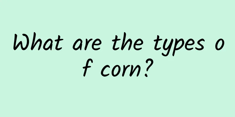 What are the types of corn?