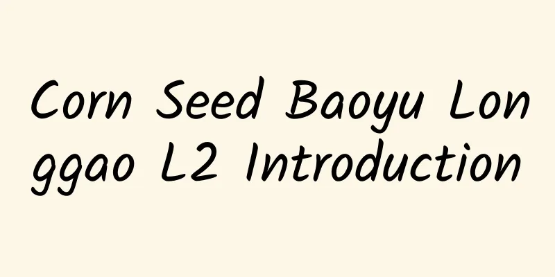 Corn Seed Baoyu Longgao L2 Introduction