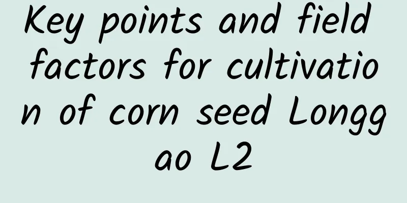 Key points and field factors for cultivation of corn seed Longgao L2