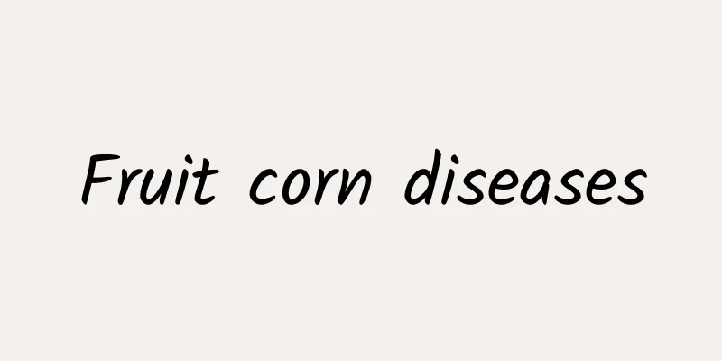 Fruit corn diseases