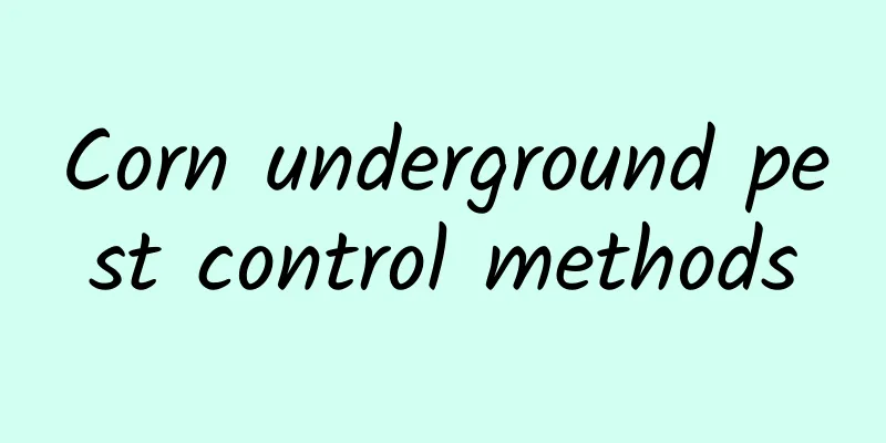 Corn underground pest control methods