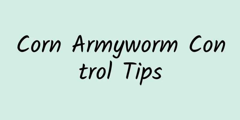 Corn Armyworm Control Tips