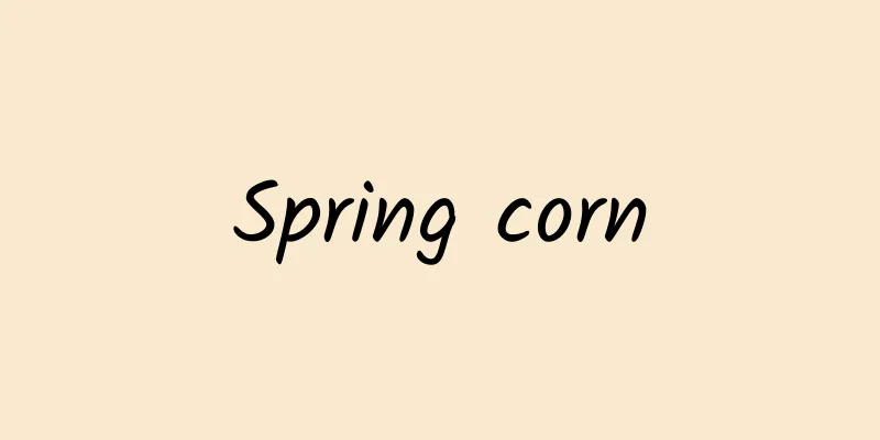 Spring corn