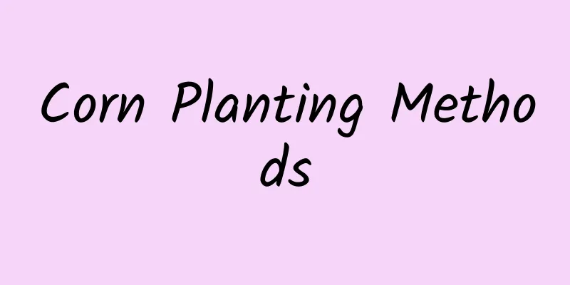 Corn Planting Methods