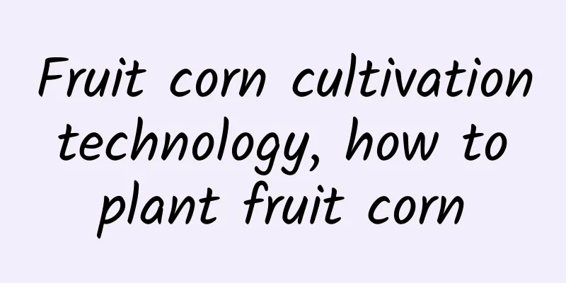 Fruit corn cultivation technology, how to plant fruit corn