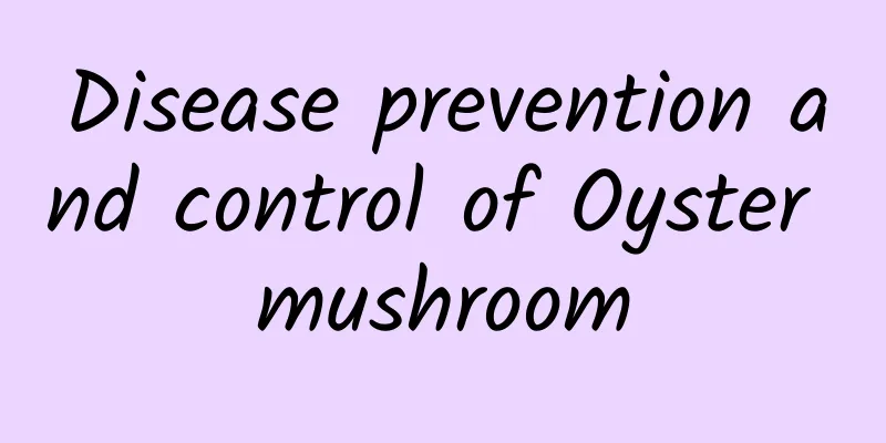 Disease prevention and control of Oyster mushroom