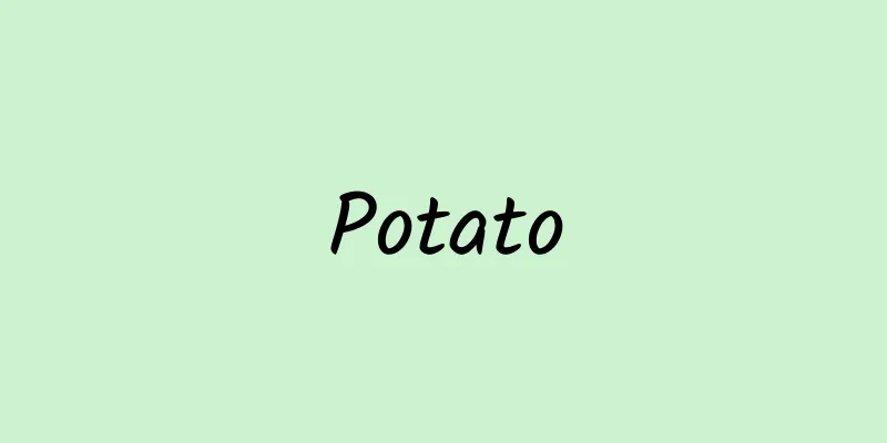 Potato