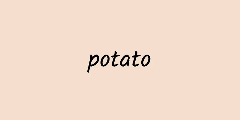 potato