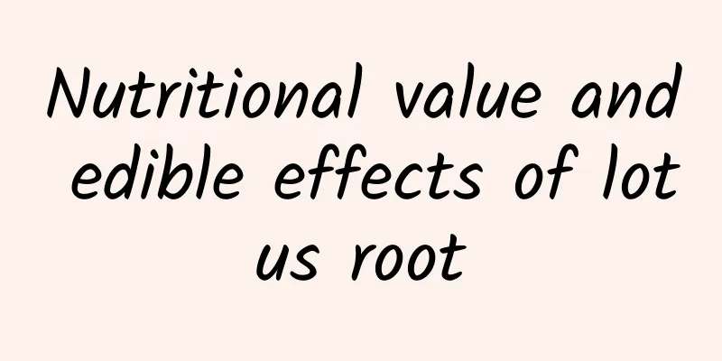 Nutritional value and edible effects of lotus root