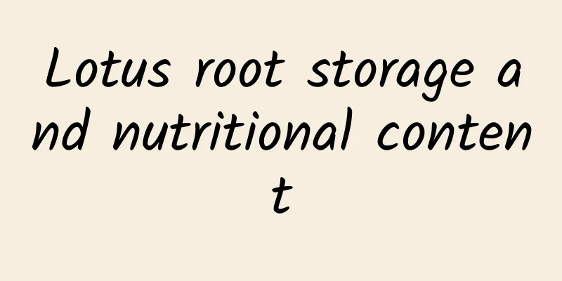 Lotus root storage and nutritional content